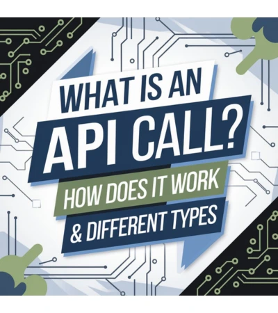 What is an API call